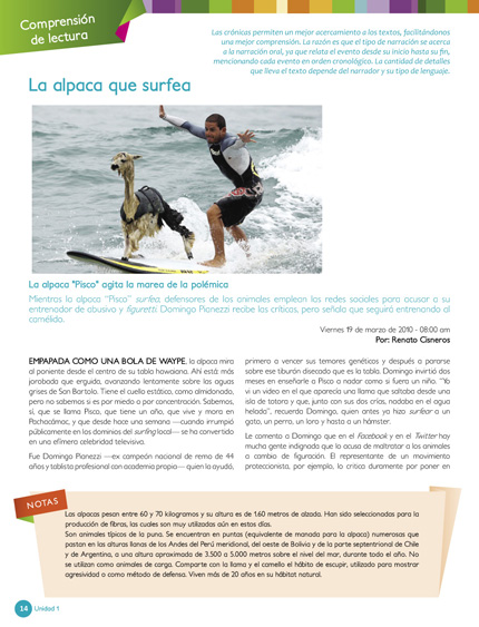 Pagina 16