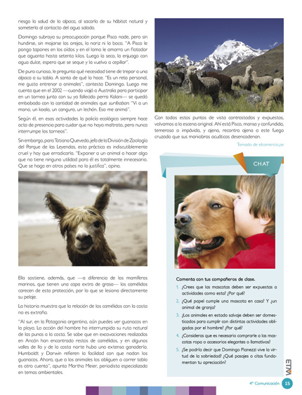 Pagina 17